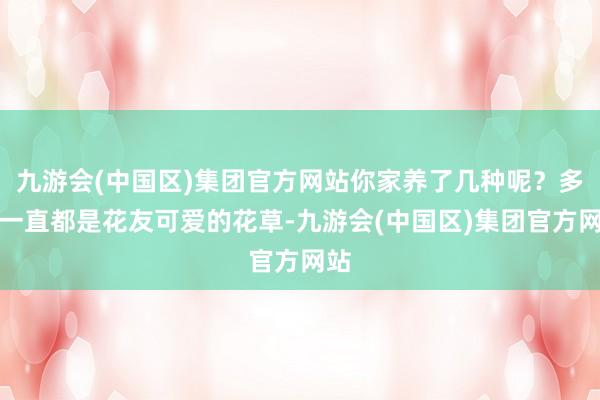 九游会(中国区)集团官方网站你家养了几种呢？多肉一直都是花友可爱的花草-九游会(中国区)集团官方网站