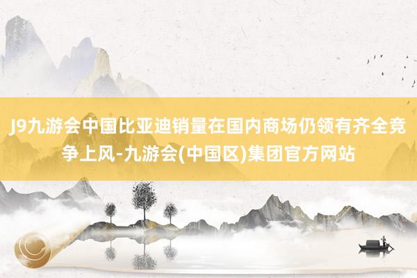 J9九游会中国比亚迪销量在国内商场仍领有齐全竞争上风-九游会(中国区)集团官方网站