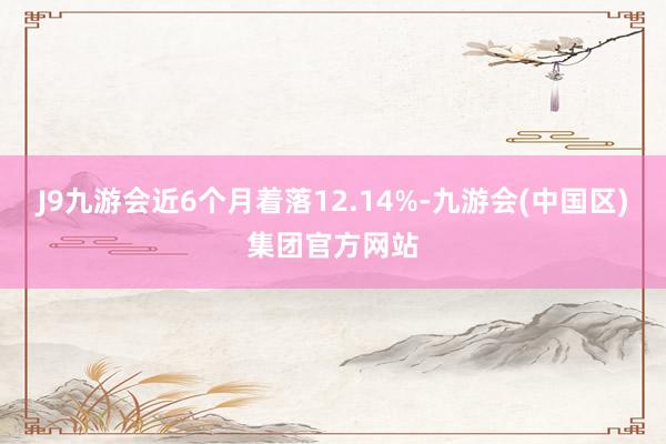 J9九游会近6个月着落12.14%-九游会(中国区)集团官方网站